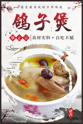 中国风美食挂画鸽子煲