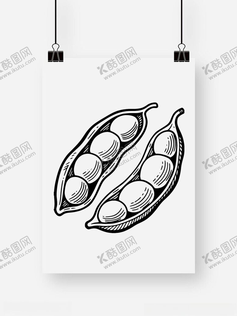 编号：11104709260542459665【酷图网】源文件下载-豆荚豌豆
