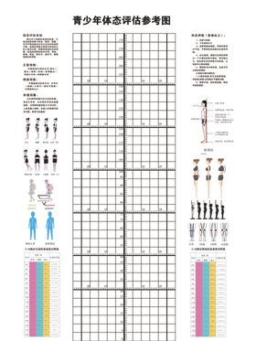 青少年体太评估参考图
