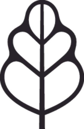 植物系列树叶