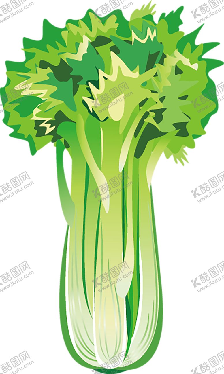 编号：97740210151345517646【酷图网】源文件下载-水果