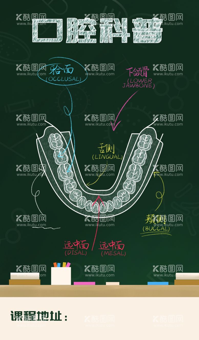 编号：67995912031203372155【酷图网】源文件下载-口腔课程