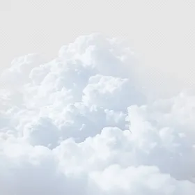 食品真实品质认证