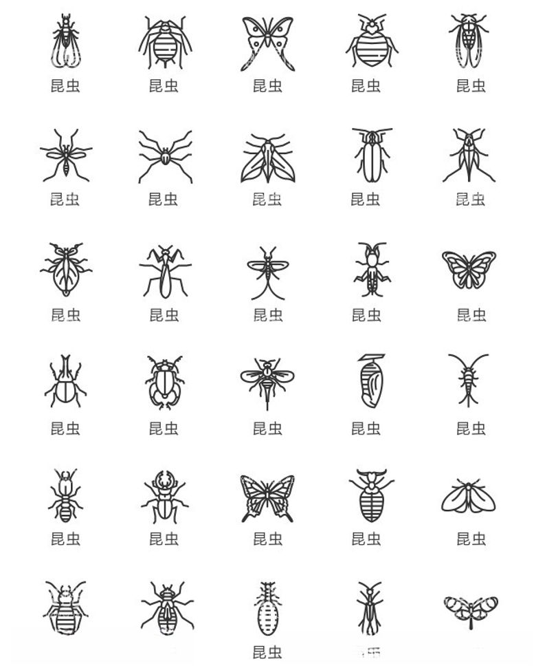 编号：62721612212101121776【酷图网】源文件下载-昆虫图标