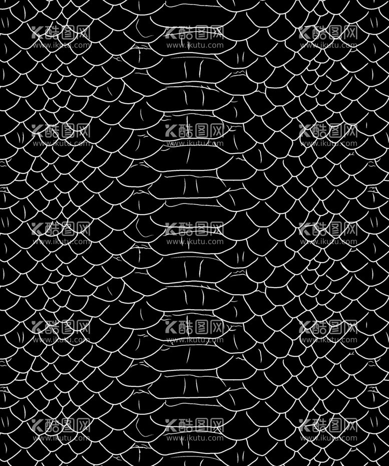 编号：97495212211437504454【酷图网】源文件下载-蛇皮