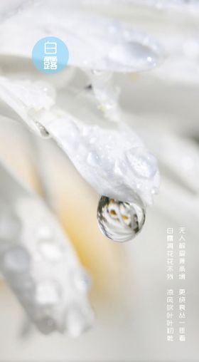 白露节气