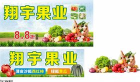 水果蔬菜果业宣传海报