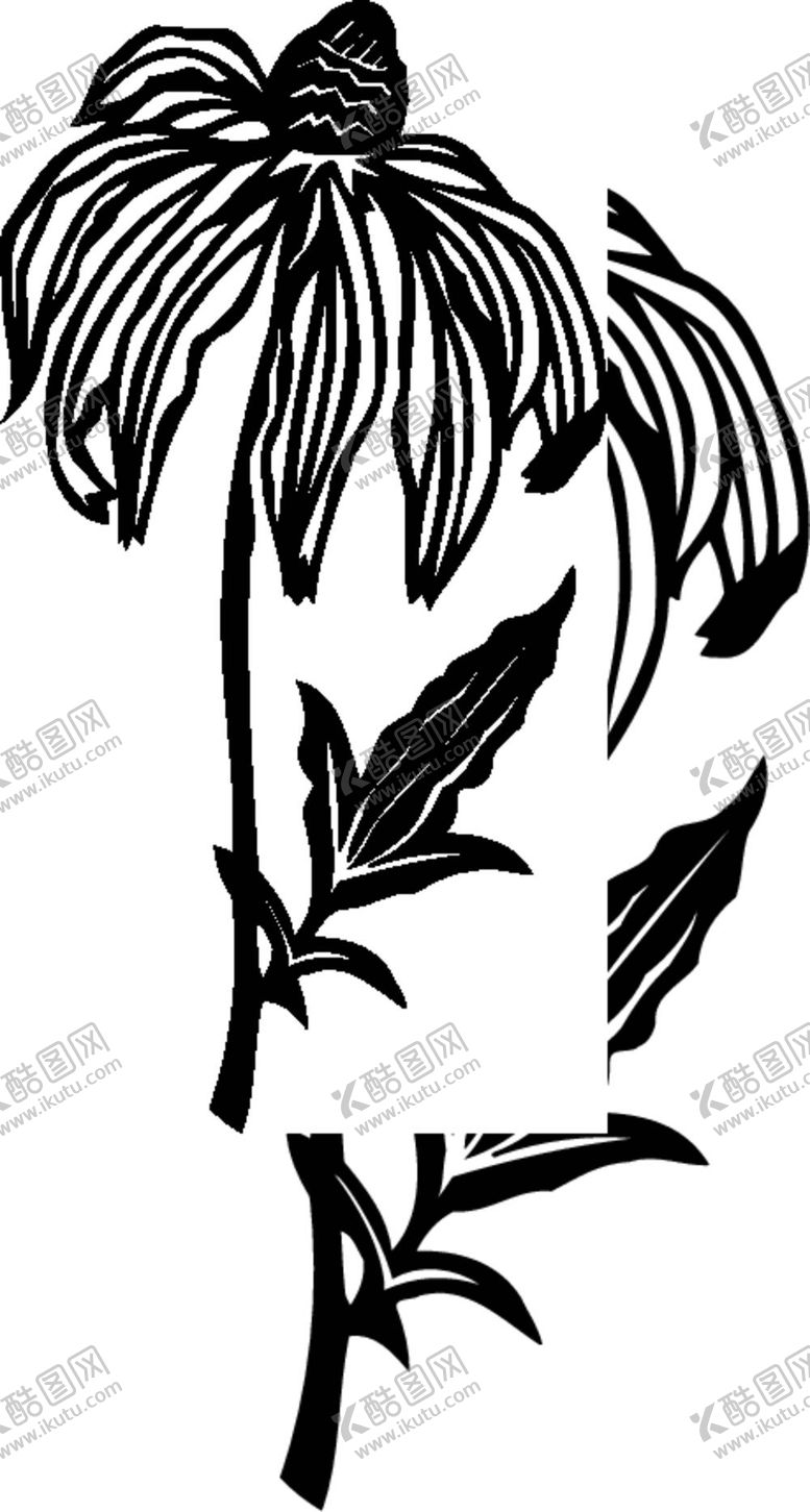 编号：56278410110642426091【酷图网】源文件下载-黑白手绘植物    