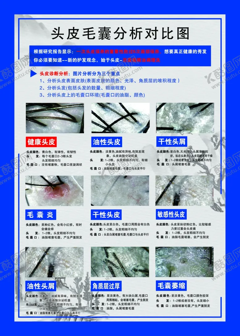 编号：83678301271048021160【酷图网】源文件下载-头皮毛囊分析对比图