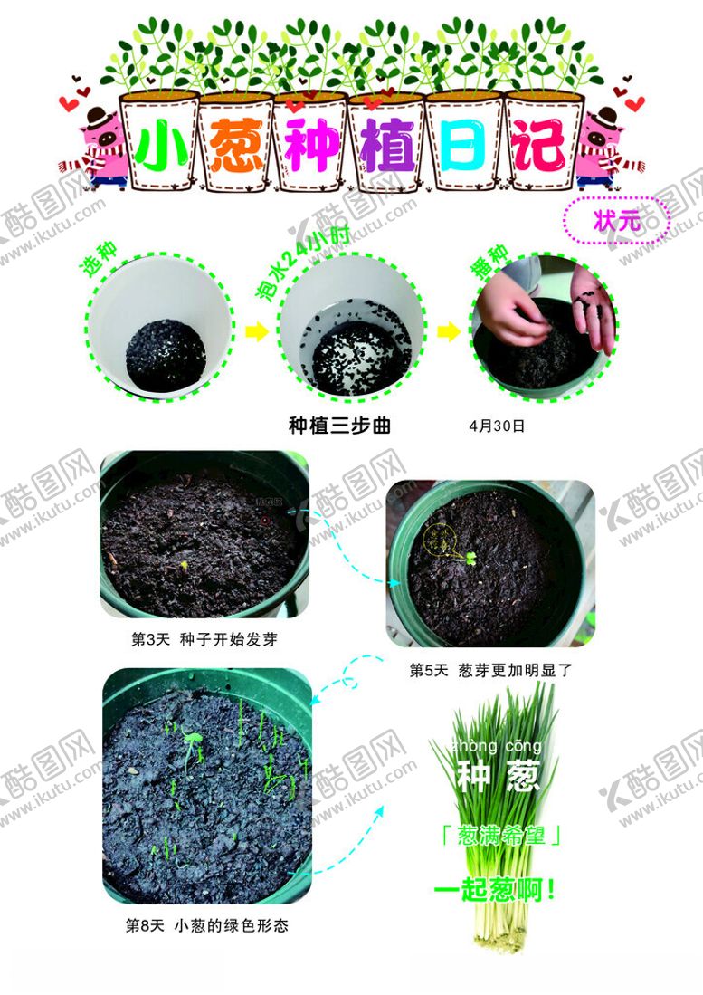 编号：21819801251505097787【酷图网】源文件下载-小葱种植日记