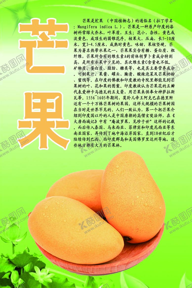 编号：43688606281905596451【酷图网】源文件下载-水果文化系列之芒果