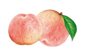 桃子水果哈密瓜包菜