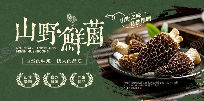 编号：83225304052005257560【酷图网】源文件下载-野山菌