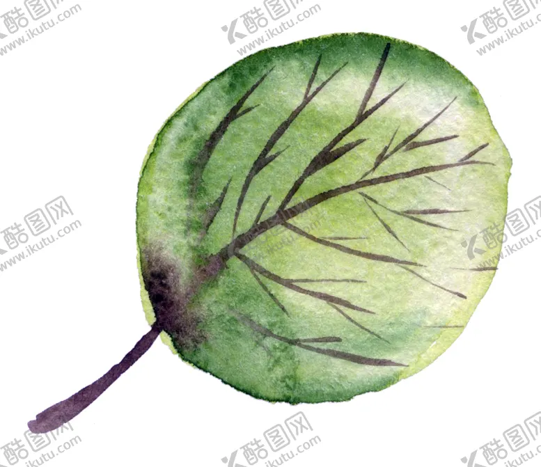编号：72717007020035321886【酷图网】源文件下载-植物绿叶