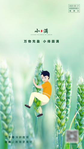 小满节气海报二十四创意麦穗