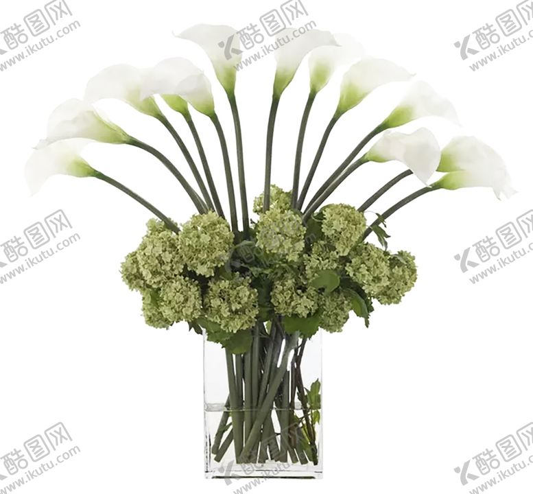 编号：75334009282203299334【酷图网】源文件下载-绿色植物