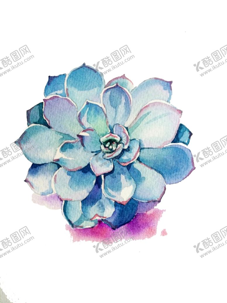编号：75626401150518586703【酷图网】源文件下载-png格式植物花卉手绘素材