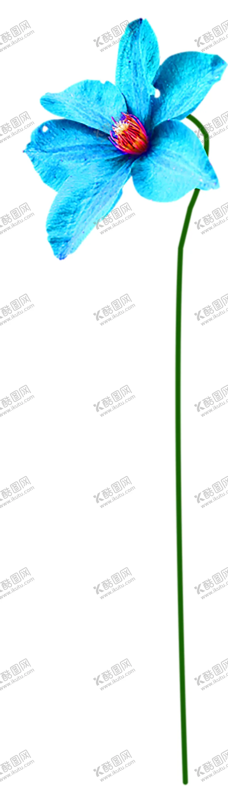 编号：94904507052158325467【酷图网】源文件下载-鲜花装饰