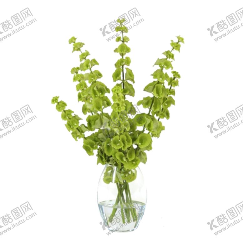 编号：48603606271358104329【酷图网】源文件下载-免抠背景花草树木