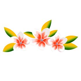 鲜花素材