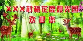 梅花鹿