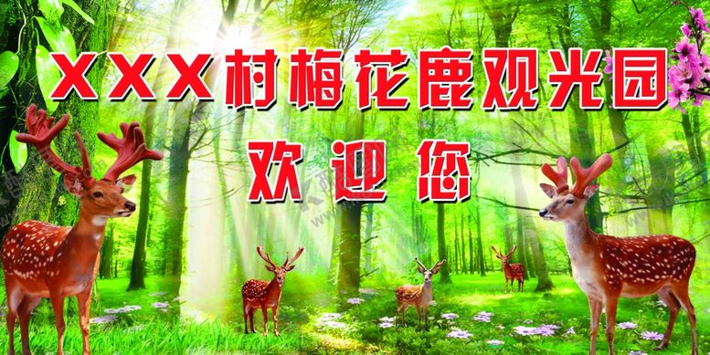 编号：52309310040720283193【酷图网】源文件下载-梅花鹿