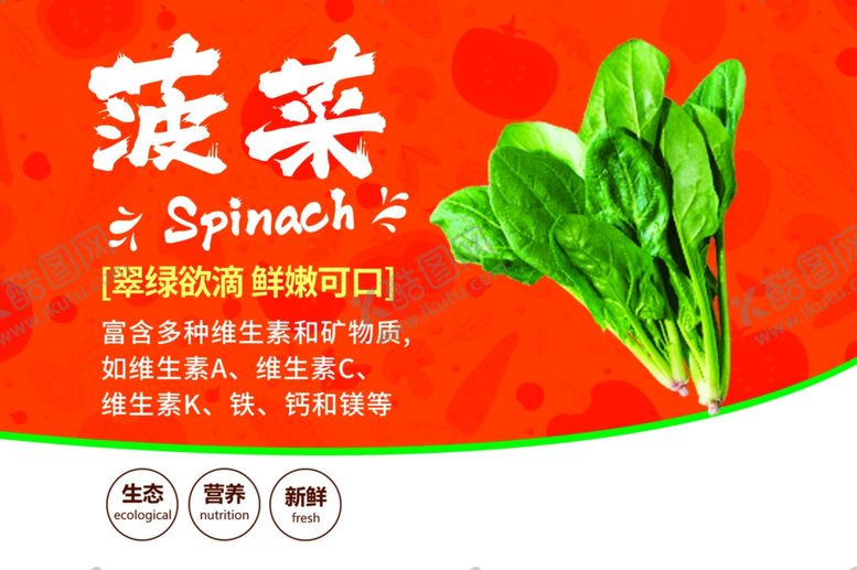 编号：21742802070323371032【酷图网】源文件下载-菠菜