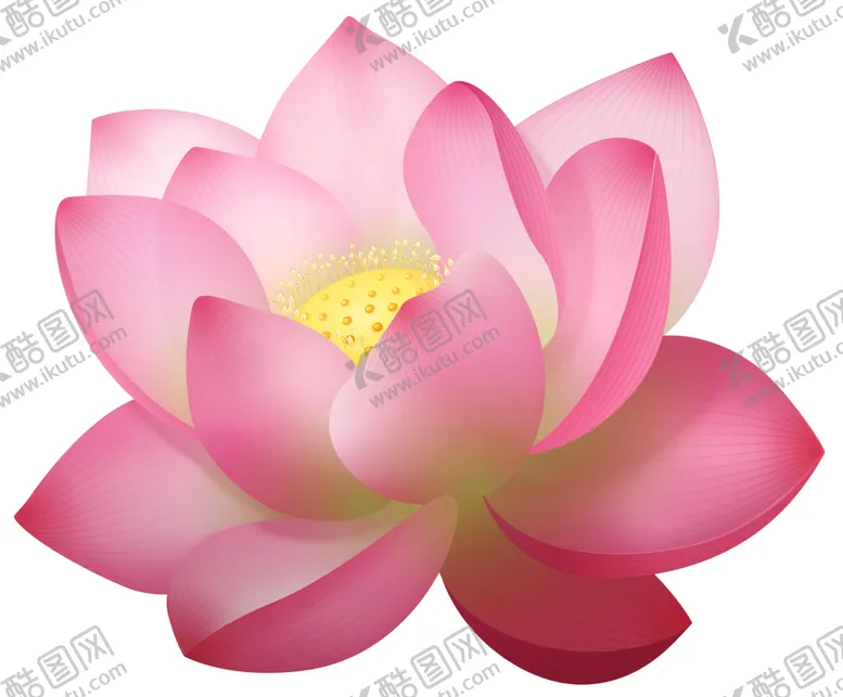 编号：35945901260650041708【酷图网】源文件下载-卡通手绘花卉