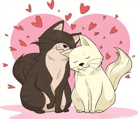 卡通猫印花图案吉祥物家T恤