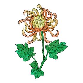 重阳节素材