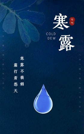 二十四节气寒露海报