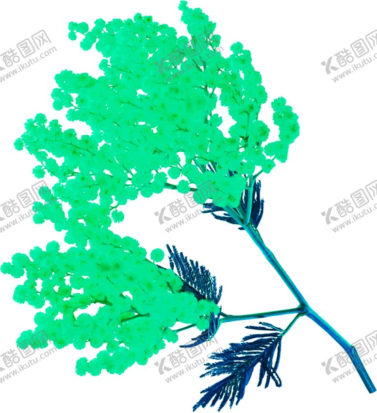 编号：13900410162114422124【酷图网】源文件下载-花素材