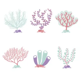 珊瑚五彩缤纷插图卡通