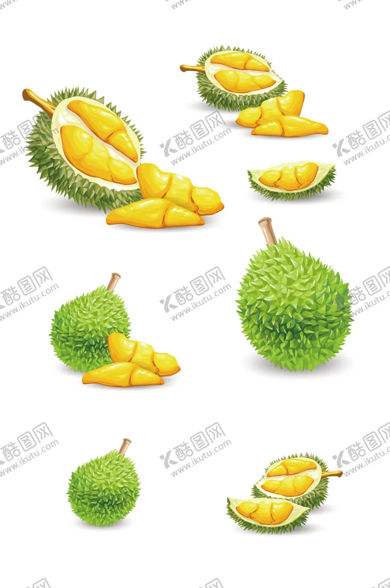 编号：78329509161540039345【酷图网】源文件下载-手绘水果榴莲