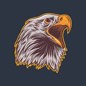 雄鹰LOGO