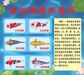 日本鲤鱼旗节海报模板