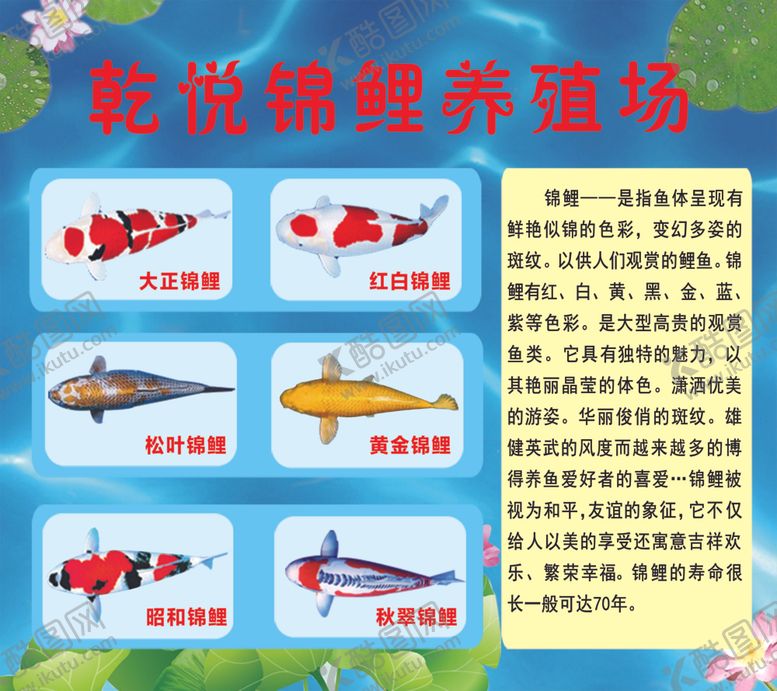编号：21001606290444019490【酷图网】源文件下载-鲤鱼海报