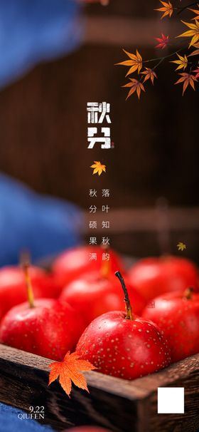 秋天硕果秋分节气海报