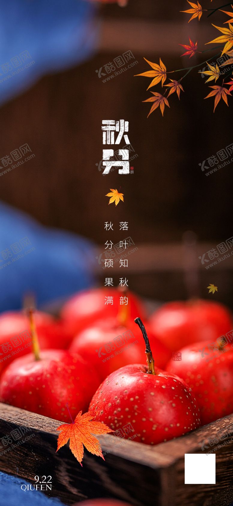 编号：48580509230146577232【酷图网】源文件下载-秋天硕果秋分节气海报