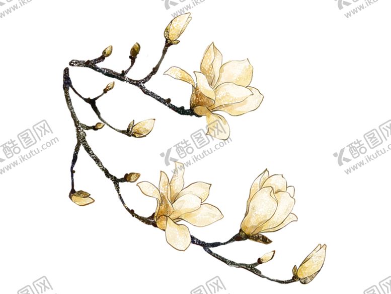 编号：99022107011016422754【酷图网】源文件下载-工笔花鸟背景墙装饰画