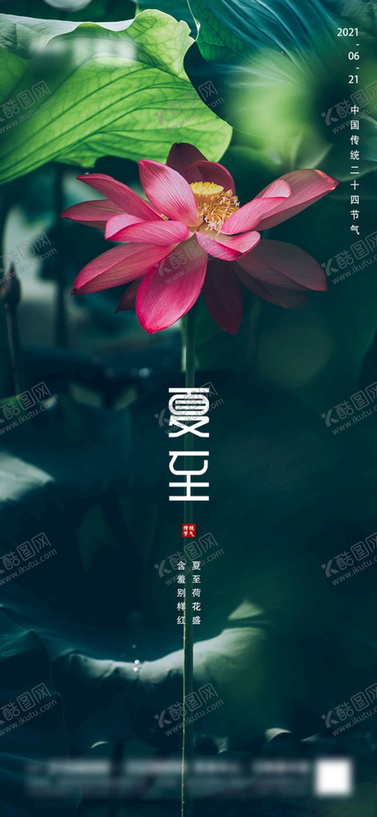 编号：76043810081450390582【酷图网】源文件下载-地产夏至微信