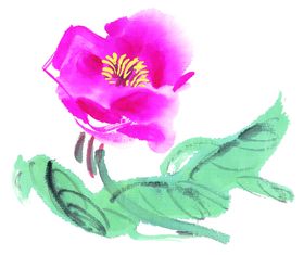 牡丹花手绘朵水墨画鸟画