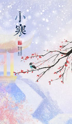 霜降雪景海报