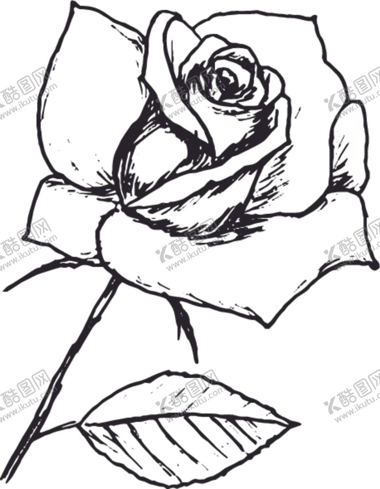 编号：46277710041106593962【酷图网】源文件下载-素描鲜花