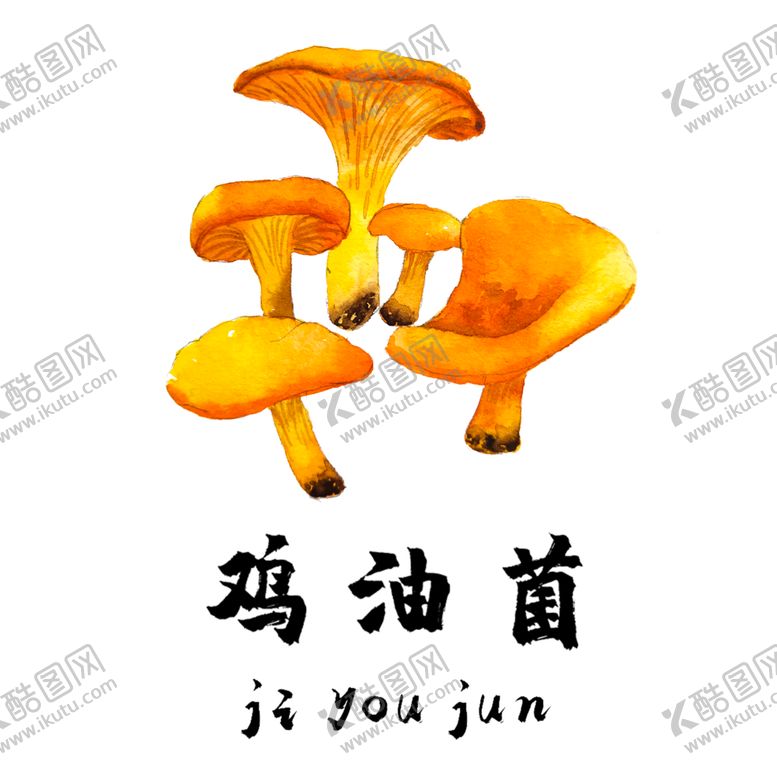 编号：62141004302230442811【酷图网】源文件下载-草本植物药材