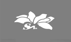 茉莉花矢量插画元素