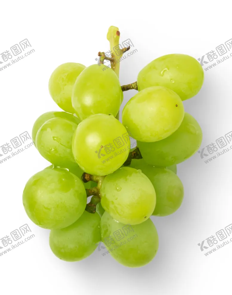 编号：27613604232040344739【酷图网】源文件下载-葡萄