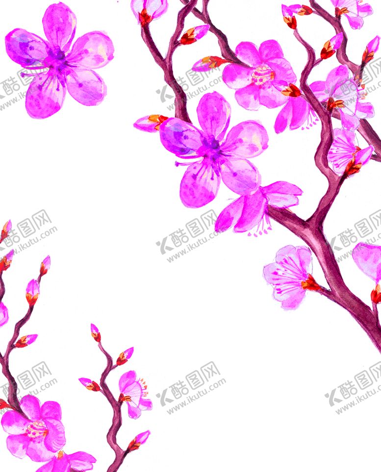 编号：52406909151422189177【酷图网】源文件下载-鲜花素材