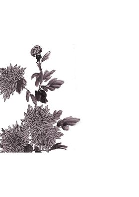菊花装饰