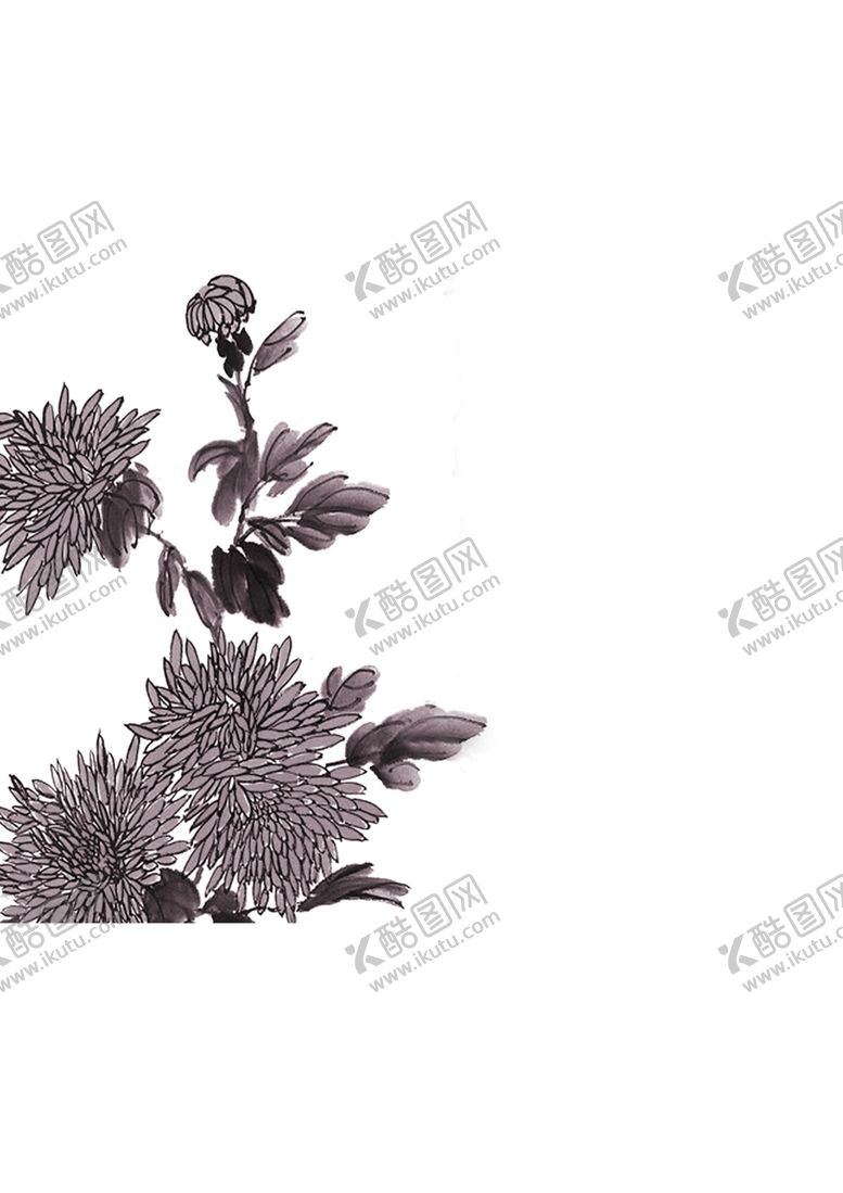 编号：53411304302243414283【酷图网】源文件下载-菊花装饰